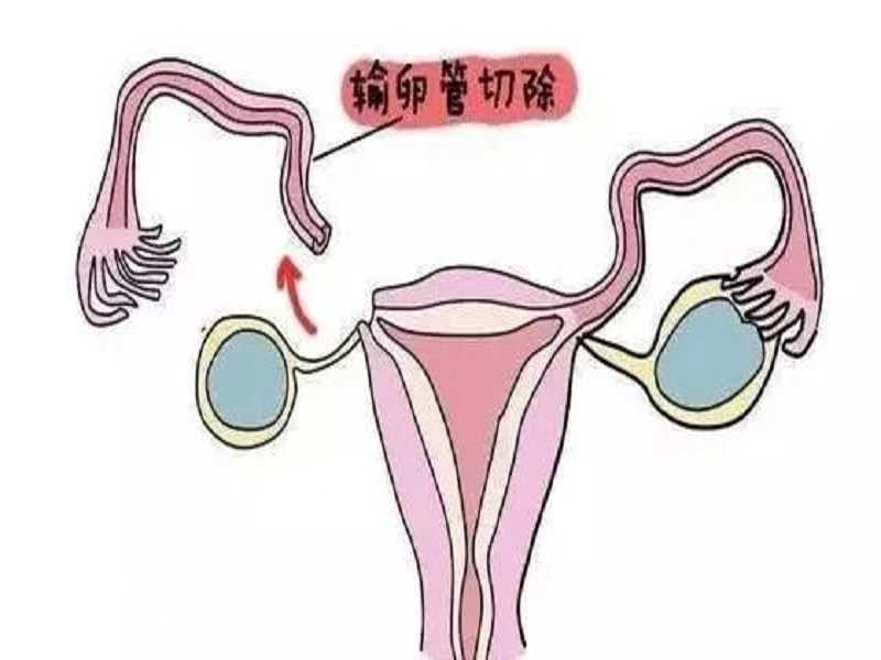2024北京做试管最好的医院排名，附试管助孕机构一览！