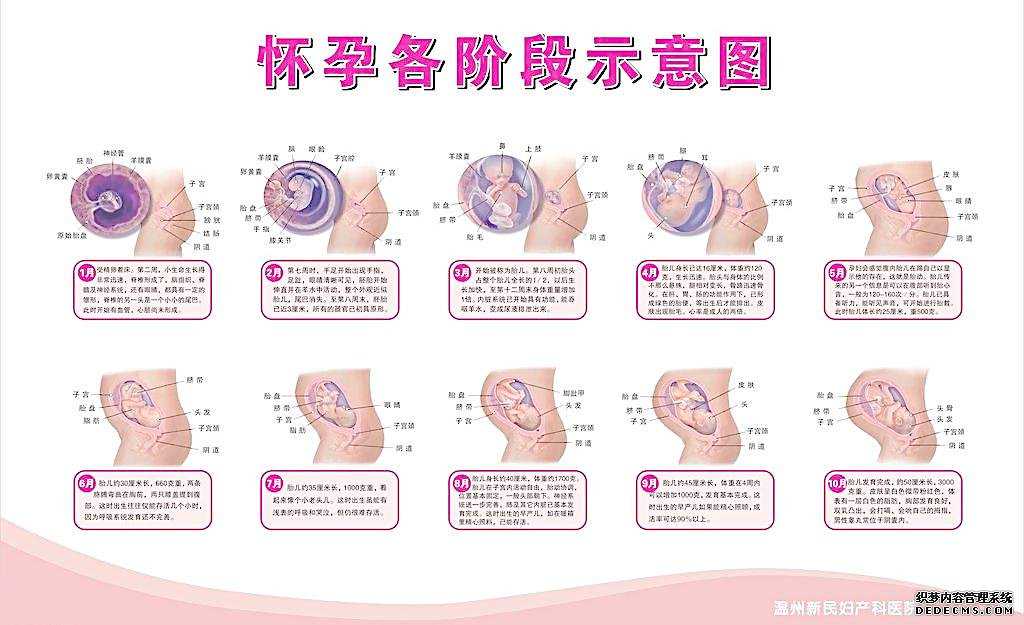 北京供卵试管详细过程-北京供卵试管生宝宝公司-北京中国能合法供卵试管呢