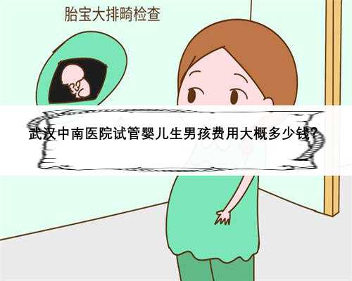 武汉中南医院试管婴儿生男孩费用大概多少钱？